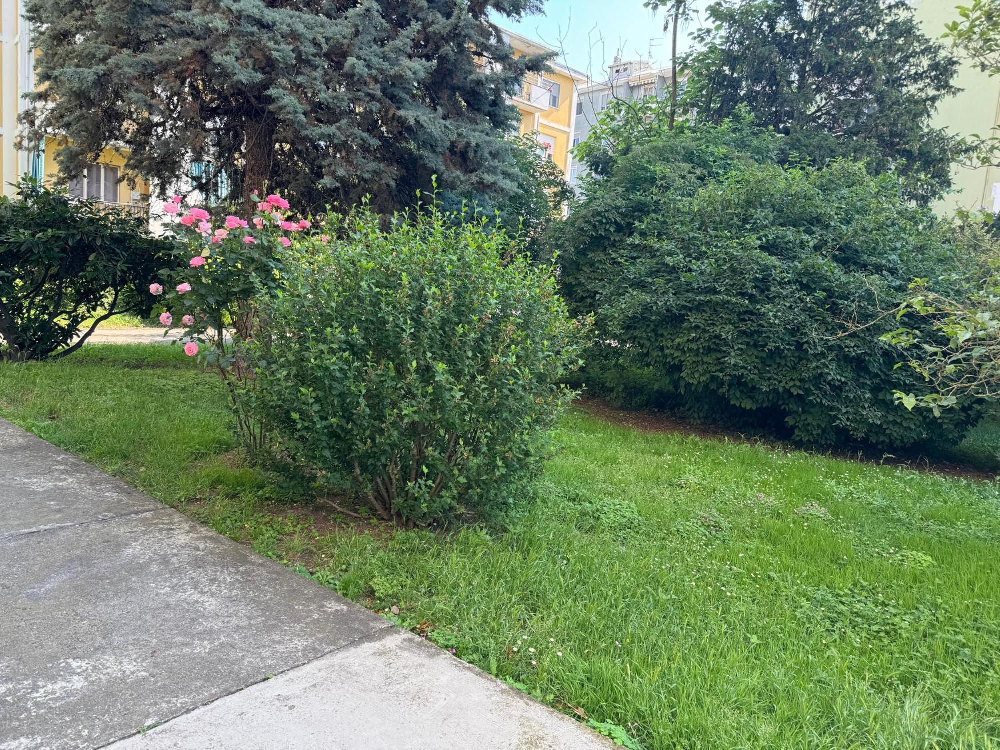 Casa Grivola 29 Apartman Vercelli Kültér fotó